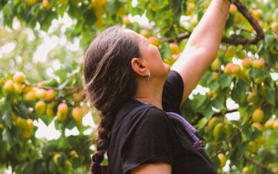 QVCT : durabilité du travail et posture en situation professionnelle ?