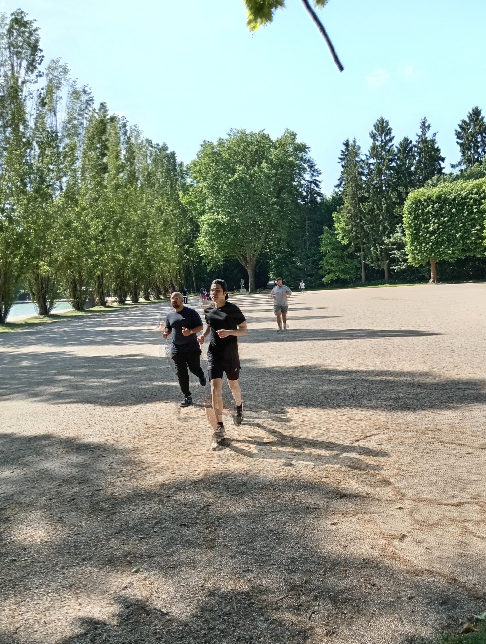 Il convient de bien faire la différence entre activité physique et sportive.